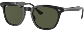 Ray Ban RB2298