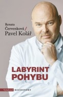 Labyrint pohybu - cena, srovnání