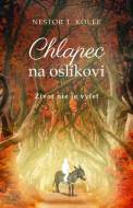 Chlapec na oslíkovi - cena, srovnání