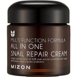 Mizon All In One Snail Repair Cream 75ml