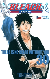 Bleach 30: There Is No Heart Withnout You