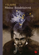 Slečna Baudelairová - cena, srovnání