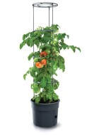 Prosperplast TOMATO GROWER 39,2 cm - cena, srovnání