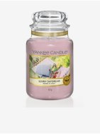 Yankee Candle Sunny Daydream 623g - cena, srovnání