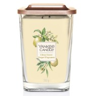 Yankee Candle Elevation Collection Citrus Grove 552g - cena, srovnání