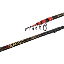 Delphin Xerxes TeleFloat 4,2 m 30 g
