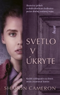 Svetlo v úkryte - cena, srovnání
