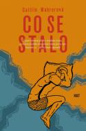 Co se stalo - Caitlin Wahrerová - cena, srovnání