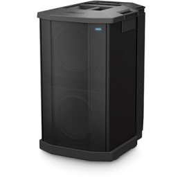 Bose F1 Subwoofer