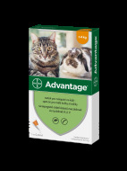 Bayer Advantage Spot-on pro malé kočky a králíky 0.4ml - cena, srovnání