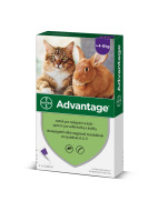 Bayer Advantage 80mg pre veľké mačky a králiky 0.8ml - cena, srovnání