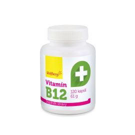 Wolfberry Vitamín B12 120tbl