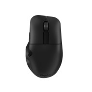 Asus MD300 - cena, srovnání