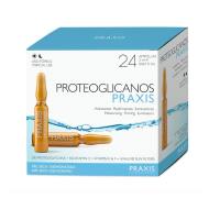 Praxis Proteoglicanos Classic 24x2ml - cena, srovnání