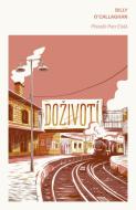 Doživotí - Billy O'Callaghan - cena, srovnání
