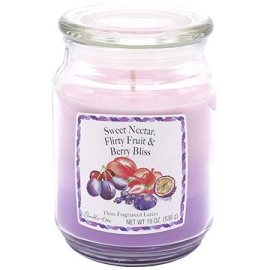 Candle-Lite Nectar & Fruit & Berry 538g