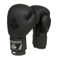 Bushido Boxerské rukavice DBX B-2v12 - cena, srovnání