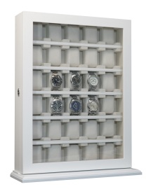 Rothenschild RS-1100-30W