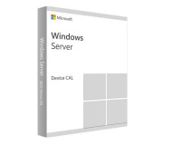 Microsoft Microsoft Windows Server 2022 Remote Desktop Service device CAL 6VC-00979