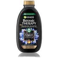 Garnier Botanic Therapy Magnetic Charcoal & Black Seed Oil šampon 250ml - cena, srovnání