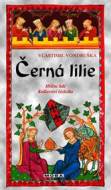 Černá lilie - Hříšní lidé Království českého - cena, srovnání