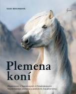 Plemena koní - cena, srovnání