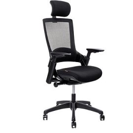 Alza AlzaErgo Chair Abyss 1