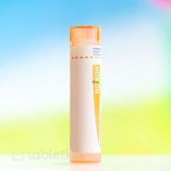 Boiron Carduus Marianus CH15 4g - cena, srovnání