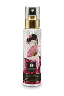 Shunga Gentle Toy Cleaner 115ml - cena, srovnání