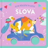 YoYo Books Slova CZ - cena, srovnání