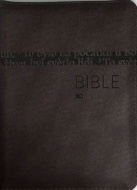 Bible - překlad 21. století - hnědá - cena, srovnání