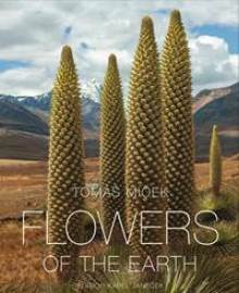 Flowers of the Earth