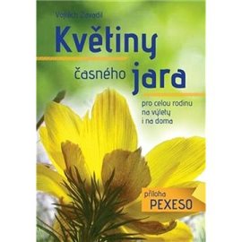 Květiny časného jara pro celou rodinu