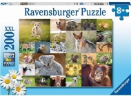 Ravensburger Koláž zvieracích mláďat 200ks - cena, srovnání