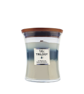 WoodWick Trilogy Icy Woodland 275g - cena, srovnání