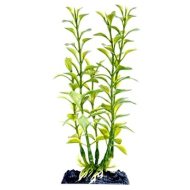 Penn Plax Blooming Ludwigia Green 18 cm - cena, srovnání
