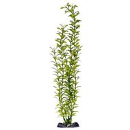 Penn Plax Blooming Ludwigia Green Super 45,5 cm - cena, srovnání