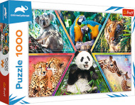 Trefl Puzzle 1000 - Kráľovstvo zvierat - cena, srovnání
