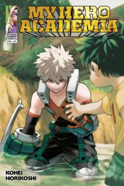 My Hero Academia 29