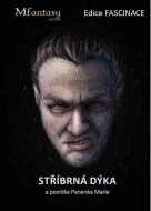 Stříbrná dýka - cena, srovnání