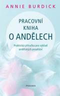 Pracovní kniha o andělech - cena, srovnání