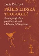 Příliš lidská teologie? - cena, srovnání