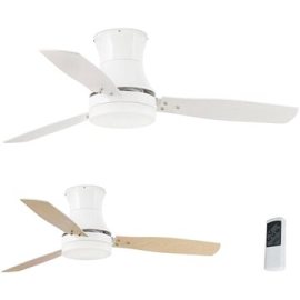 Faro 33384/33386 TONSAY