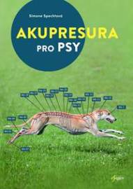 Akupresura pro psy