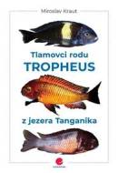 Tlamovci rodu Tropheus z jezera Tanganik - cena, srovnání