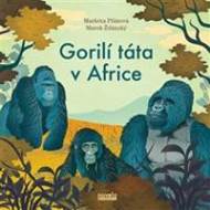 Gorilí táta v Africe - cena, srovnání