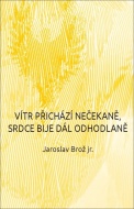 Vítr přichází nečekaně, srdce bije dál odhodlaně - cena, srovnání