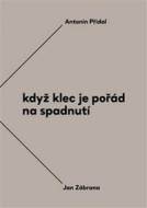 Když klec je pořád na spadnutí - cena, srovnání