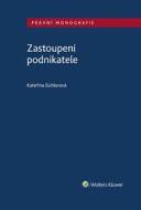 Zastoupení podnikatele - cena, srovnání