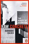 Raw Concrete - cena, srovnání